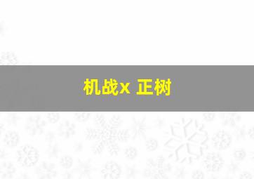 机战x 正树